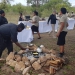 <h2>The Best of South Africa Escorted 2018</h2>Golf, Kruger Safari, Cape Town, the Winelands & Garden Route