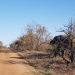 <h2>The Best of South Africa Escorted 2018</h2>Golf, Kruger Safari, Cape Town, the Winelands & Garden Route