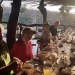 <h2>The Best of South Africa Escorted 2018</h2>Golf, Kruger Safari, Cape Town, the Winelands & Garden Route