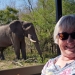 <h2>The Best of South Africa Escorted 2018</h2>Golf, Kruger Safari, Cape Town, the Winelands & Garden Route