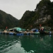 <h2>Thailand, Cambodia & Vietnam Escorted 2019</h2>14 Nights from Thailand to Cambodia & Vietnam | 8 Rounds | February 5 - 19