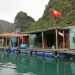<h2>Thailand, Cambodia & Vietnam Escorted 2019</h2>14 Nights from Thailand to Cambodia & Vietnam | 8 Rounds | February 5 - 19