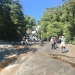 <h2>The Best of Argentina Escorted 2018</h2>11 Nights in Patagonia & Buenos Aires | 6 Rounds | January 15 – 26