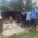 <h2>The Best of Argentina Escorted 2018</h2>11 Nights in Patagonia & Buenos Aires | 6 Rounds | January 15 – 26