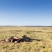 <h2>The Best of South Africa Escorted 2016</h2>13 Nights, 3 on Safari at Shamwari Game Preserve | 5 Rounds | March 2 – 16