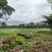 <h2>Thailand, Cambodia & Vietnam Escorted 2017</h2>14 Nights from Thailand to Cambodia & Vietnam | 8 Rounds | January 31 - February 14