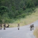 <h2>The Best of South Africa Escorted 2023</h2> 14 Nights | 6 Rounds | March 11 - 25