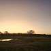 <h2>The Best of South Africa Escorted 2023</h2> 14 Nights | 6 Rounds | March 11 - 25