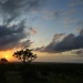 <h2>The Best of South Africa Escorted 2023</h2> 14 Nights | 6 Rounds | March 11 - 25