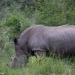 <h2>The Best of South Africa Escorted 2023</h2> 14 Nights | 6 Rounds | March 11 - 25