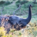 <h2>The Best of South Africa Escorted 2023</h2> 14 Nights | 6 Rounds | March 11 - 25