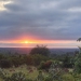<h2>The Best of South Africa Escorted 2023</h2> 14 Nights | 6 Rounds | March 11 - 25