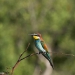 <h2>The Best of South Africa Escorted 2023</h2> 14 Nights | 6 Rounds | March 11 - 25