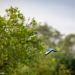 <h2>The Best of South Africa Escorted 2023</h2> 14 Nights | 6 Rounds | March 11 - 25