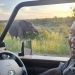 <h2>The Best of South Africa Escorted 2023</h2> 14 Nights | 6 Rounds | March 11 - 25