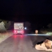 <h2>The Best of South Africa Escorted 2023</h2> 14 Nights | 6 Rounds | March 11 - 25