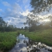<h2>The Best of South Africa Escorted 2023</h2> 14 Nights | 6 Rounds | March 11 - 25
