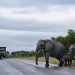 <h2>The Best of South Africa Escorted 2023</h2> 14 Nights | 6 Rounds | March 11 - 25
