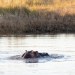 <h2>The Best of South Africa Escorted 2023</h2> 14 Nights | 6 Rounds | March 11 - 25