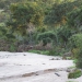 <h2>The Best of South Africa Escorted 2023</h2> 14 Nights | 6 Rounds | March 11 - 25