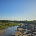 <h2>The Best of South Africa Escorted 2023</h2> 14 Nights | 6 Rounds | March 11 - 25