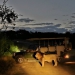 <h2>The Best of South Africa Escorted 2023</h2> 14 Nights | 6 Rounds | March 11 - 25