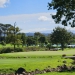<h2>The Best of South Africa Escorted 2023</h2> 14 Nights | 6 Rounds | March 11 - 25