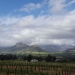 <h2>The Best of South Africa 2017</h2>14 Nights, 4 on Safari | 5 Rounds | Wine Tours & Sightseeing | November 3 – 17