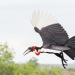<h2>The Best of South Africa 2017</h2>14 Nights, 4 on Safari | 5 Rounds | Wine Tours & Sightseeing | November 3 – 17
