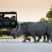 <h2>The Best of South Africa 2017</h2>14 Nights, 4 on Safari | 5 Rounds | Wine Tours & Sightseeing | November 3 – 17
