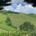 <h2>The Best of Northern Spain Escorted 2022</h2> 8 Nights | 4 Rounds | May 19 – 27