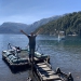 <h2>The Best of Argentina Escorted 2019 Feb 18</h2>11 Nights in Patagonia & Buenos Aires | 6 Rounds | February 18 – March 1