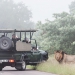 <h2>The Best of South Africa Escorted 2019</h2>Kruger Safari, Cape Town, the Winelands & Garden Route | 14 Nights | 5 Rounds | February 23 - March 9