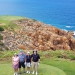 <h2>The Best of South Africa Escorted 2019</h2>Kruger Safari, Cape Town, the Winelands & Garden Route | 14 Nights | 5 Rounds | February 23 - March 9