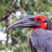 <h2>The Best of South Africa Escorted 2019</h2>Kruger Safari, Cape Town, the Winelands & Garden Route | 14 Nights | 5 Rounds | February 23 - March 9