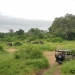 <h2>The Best of South Africa Escorted 2019</h2>Kruger Safari, Cape Town, the Winelands & Garden Route | 14 Nights | 5 Rounds | February 23 - March 9
