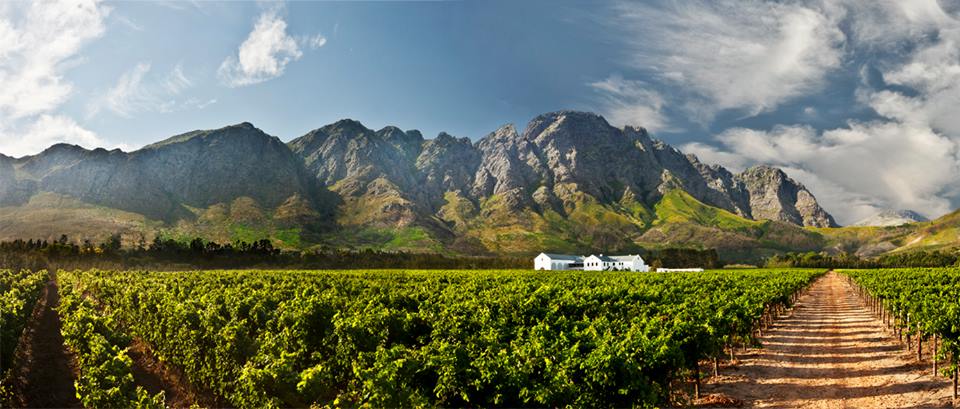<h2>The Best of South Africa Escorted 2015</h2>13 Nights, 3 on Safari at Shamwari Game Reserve | 5 Rounds | November 1 – 15
